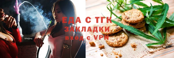 индика Кулебаки